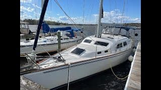 Catalina Morgan 440